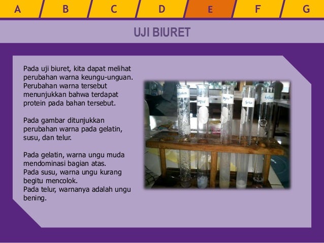 Warna Biuret